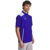 Color Royal