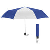 Color Cobalt