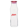 H2Go Red Vue Glass Bottle 20 oz