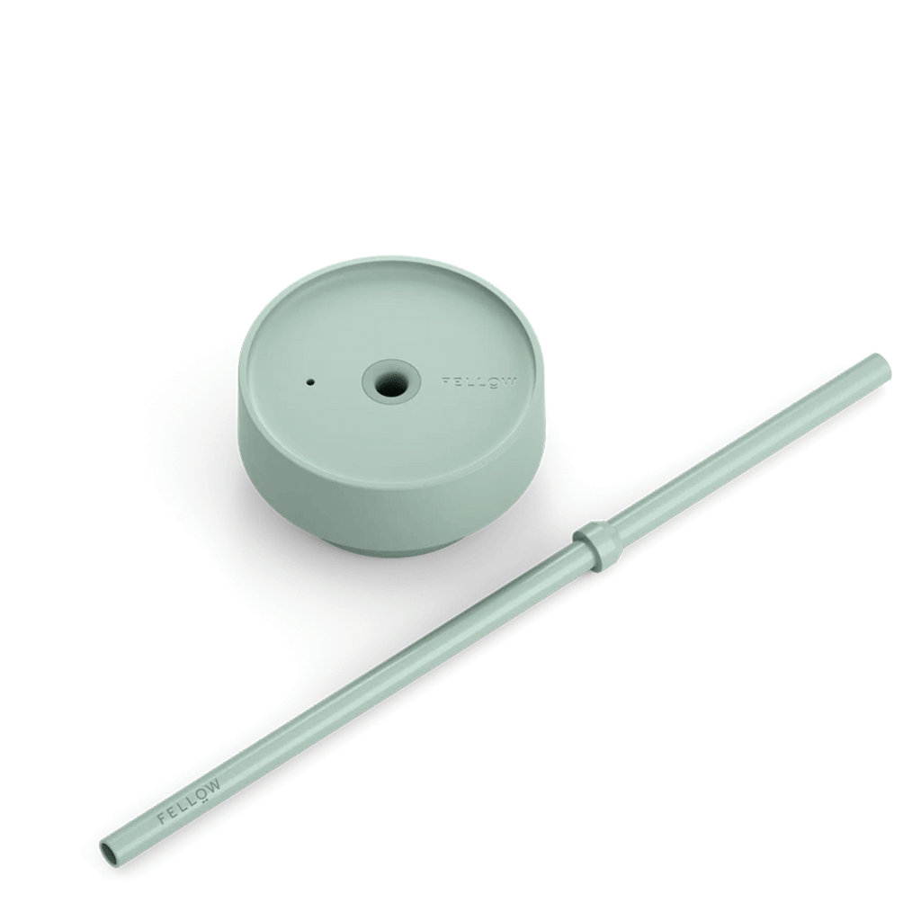 Fellow Mint Chip 16 oz Carter Cold Tumbler