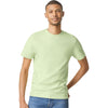 Gildan Unisex Pistachio Softstyle T-Shirt