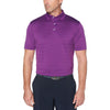 Color Purple