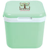 Color Light Green