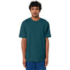 Stanley/Stella Unisex Stargazer Freestyler Heavyweight Tee