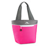 High Sierra Flamigo Lunch Tote