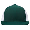 Color Dark Green