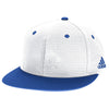 Color Royal Blue